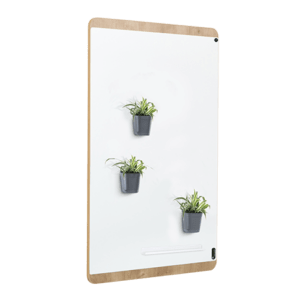 trio de baby plantes avec pot magnétique